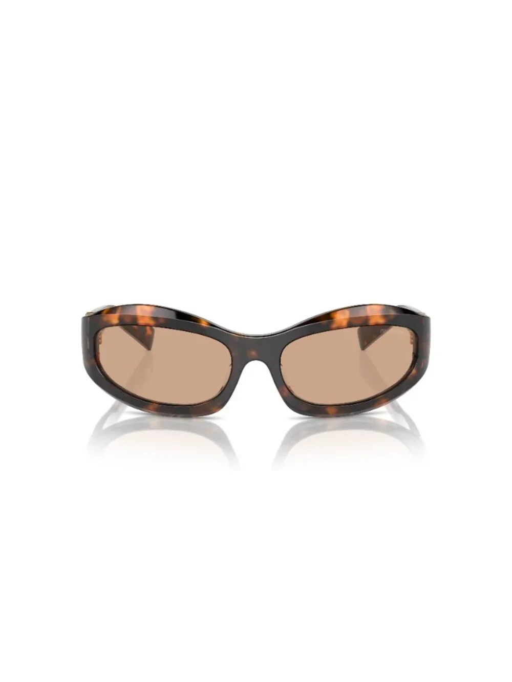 New Miu Miu Women's Sunglasses Havana Aviator Brown Lens Acetate Frame MU 14ZS